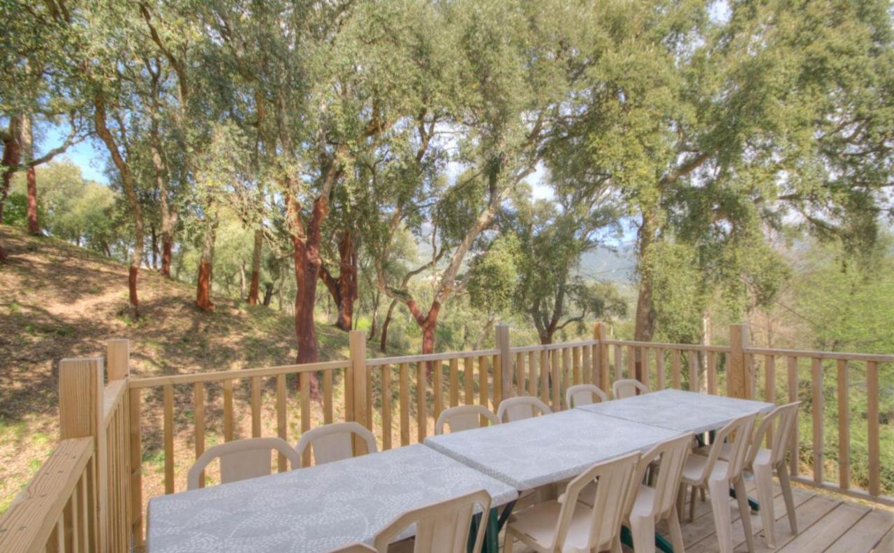 Gites Carbuccia En Corse Avec Piscine Chauffee Exterior foto